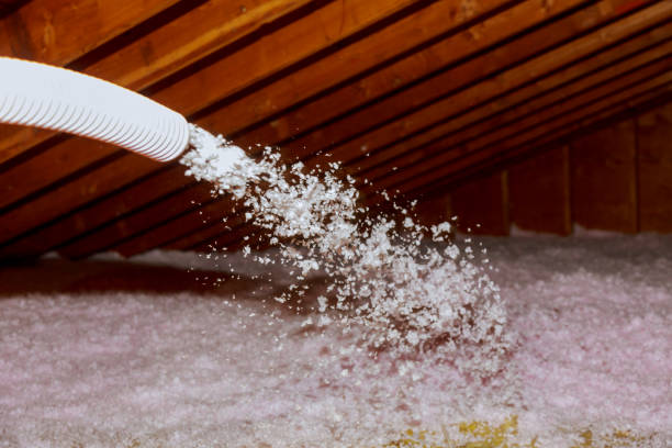 Best Energy Efficiency Insulation in Brush Prairie, WA