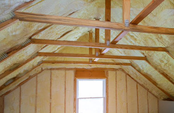 Best Specialized Insulation Services in Brush Prairie, WA