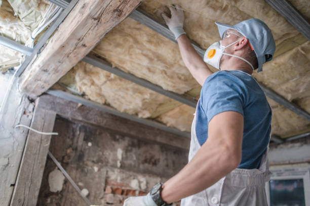 Types of Insulation We Offer in Brush Prairie, WA