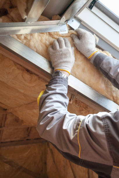 Best Eco-Friendly Insulation in Brush Prairie, WA